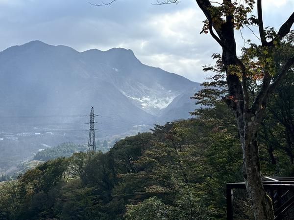 足柄下郡箱根町仙石原の中古一戸建て(現地からの眺望)