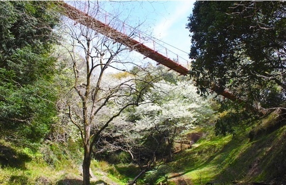 駿東郡長泉町東野の中古一戸建て(駿河平自然公園)