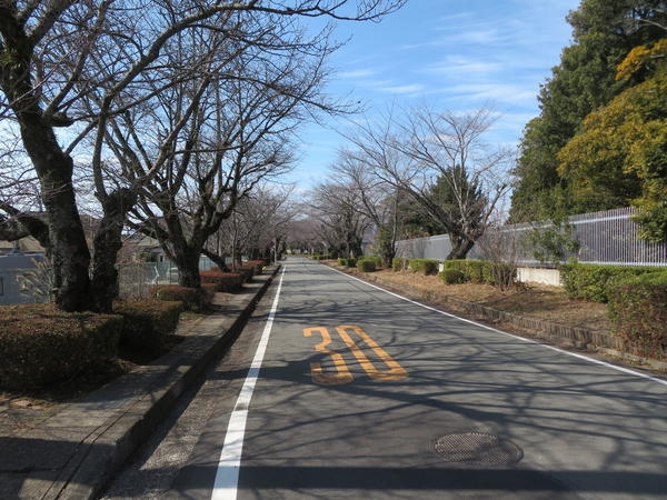 三島市谷田の土地