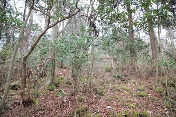 裾野市須山の土地