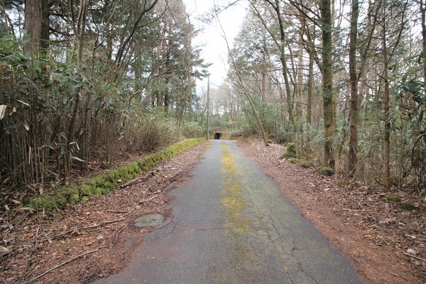 裾野市須山の土地