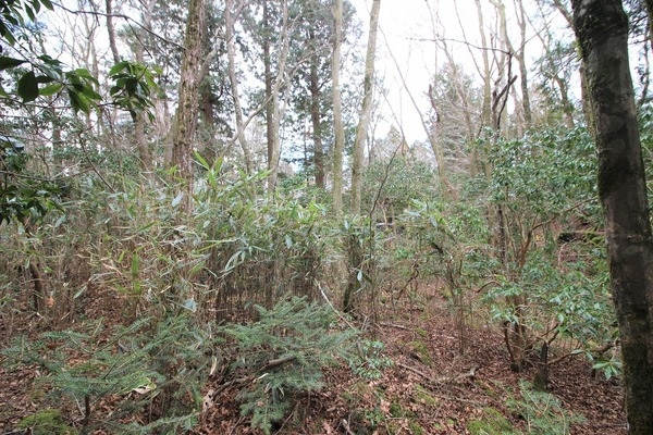 裾野市須山の土地