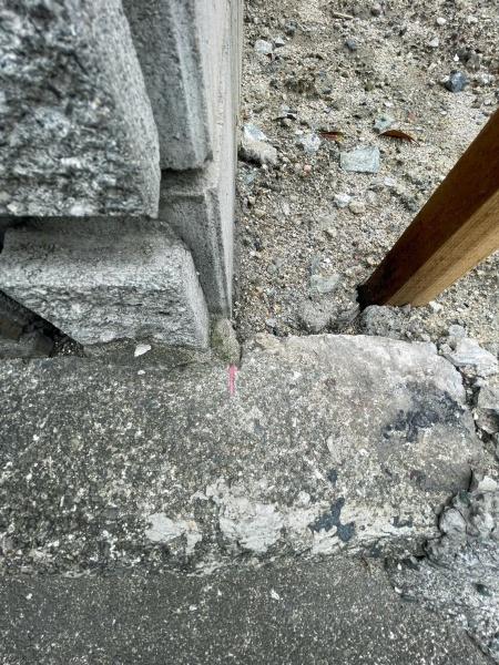 堺市西区浜寺石津町中１丁の土地