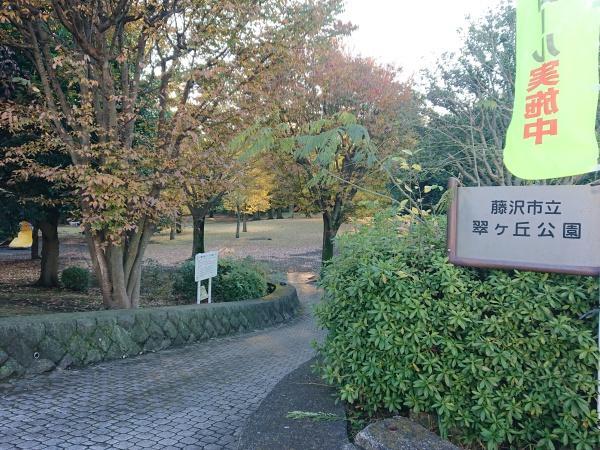 藤沢市柄沢の中古一戸建て(翠ケ丘公園)