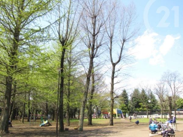 武蔵村山市大南２丁目の土地(大南公園)