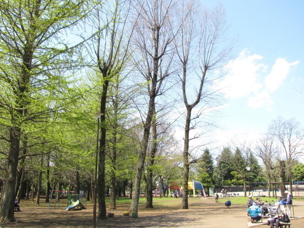 武蔵村山市大南3丁目(大南公園)