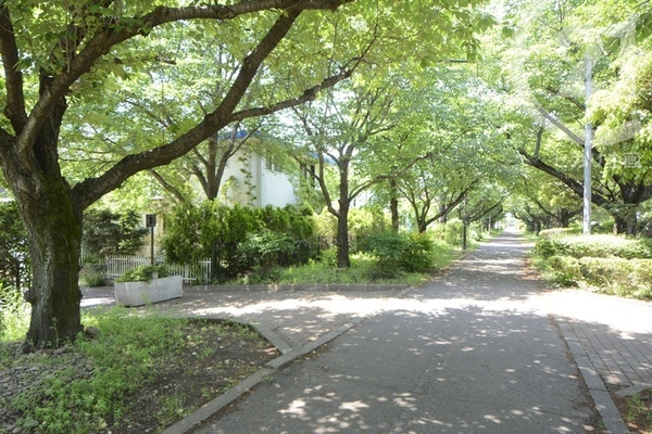 武蔵村山市中原２丁目の土地(野山北公園自転車道線)
