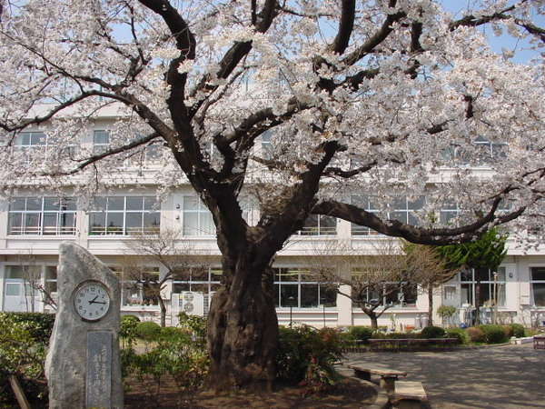 立川市上砂町４丁目の中古一戸建て(立川市立第九小学校)