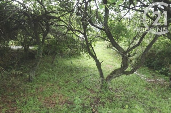 あきる野市留原の土地