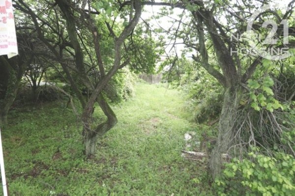 あきる野市留原の土地