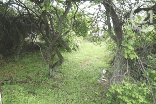 あきる野市留原の土地