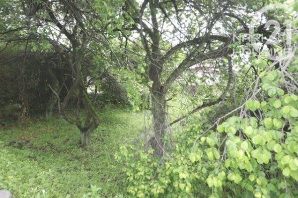 あきる野市留原の土地