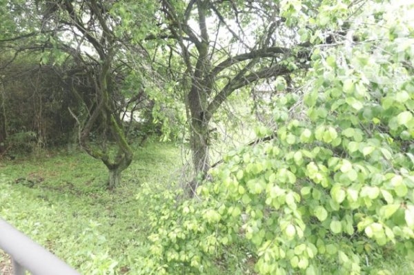あきる野市留原の土地