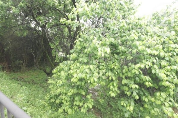 あきる野市留原の土地