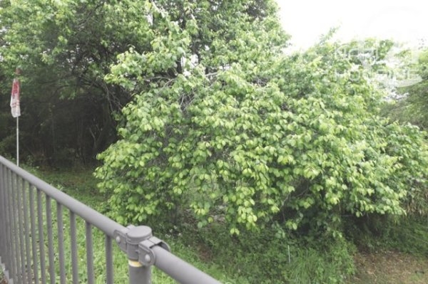 あきる野市留原の土地