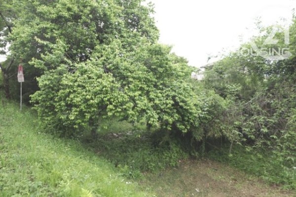 あきる野市留原の土地