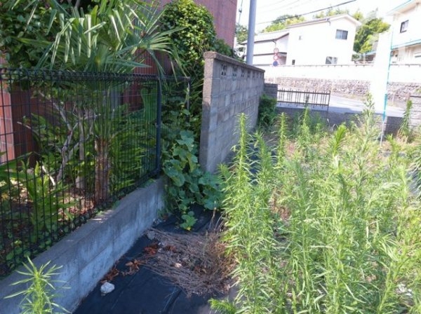 羽村市羽加美４丁目の土地