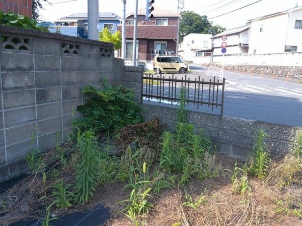 羽村市羽加美４丁目の土地