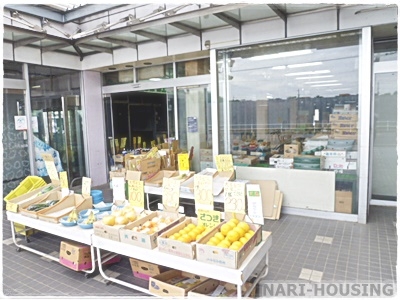 武蔵村山市学園3丁目の中古一戸建て(貝瀬青果)