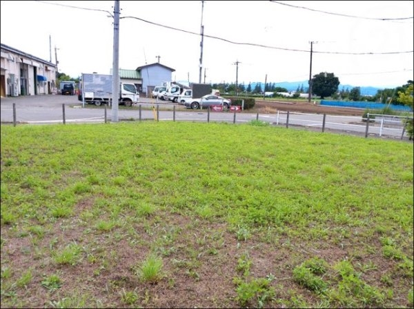 西多摩郡瑞穂町大字武蔵の土地