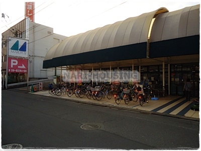 藤和シティホームズ昭和記念公園(マルフジ東中神店)
