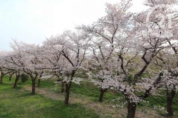 グラファーレ　昭島市拝島町4丁目　新築　全5棟　5号棟