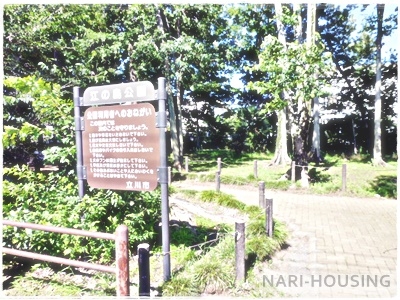 西けやき台団地2号棟(江の島公園)