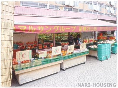 武蔵村山市大南5丁目　新築　全1棟(マルサングループ　武蔵村山店)