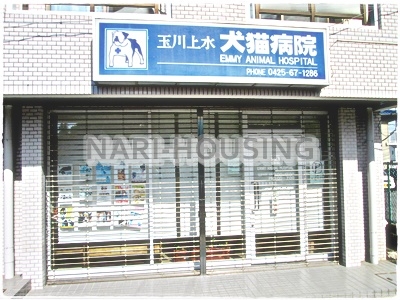 武蔵村山市大南5丁目　新築　全1棟(玉川上水犬猫病院)