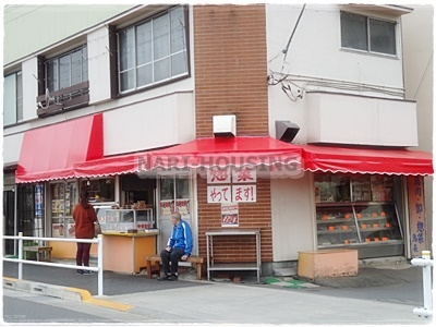 リーブルガーデン 東大和市新堀1丁目 新築 全1棟(とん平)