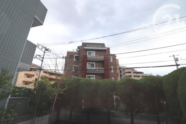 コスモ立川サングレイス