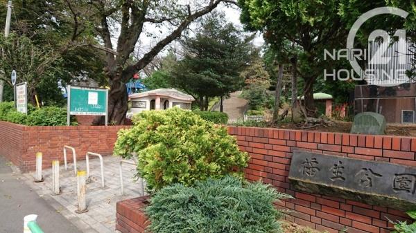 福生市大字福生の土地(福生公園)