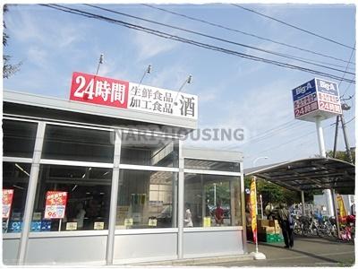 グランステイツ玉川上水(ビッグ・エー東大和桜が丘店)