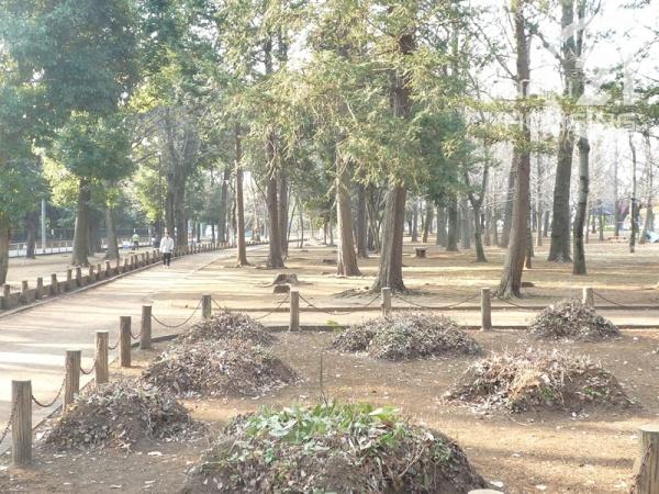 サンクレイドル玉川上水(大南公園)