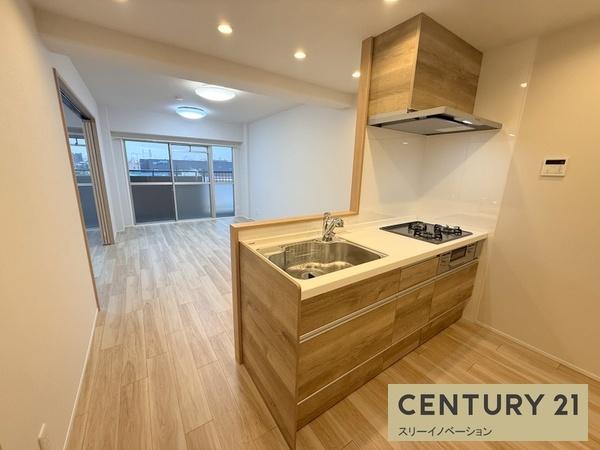 ドムール南恩加島