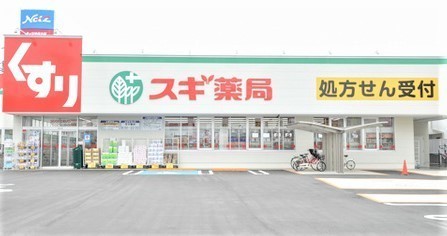 東大阪市稲田本町１丁目の中古一戸建て(スギ薬局東大阪楠根店)