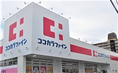 レジオン八尾(ココカラファイン友井店)
