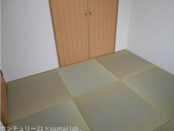 ディオフェルティ石切