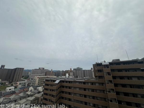 セレッソコート八戸ノ里ハートランドイーストビュー