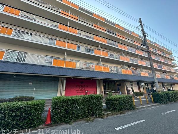 小阪ハイライフ
