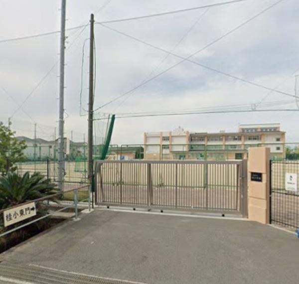 小畑町／新築戸建(八尾市立桂小学校)