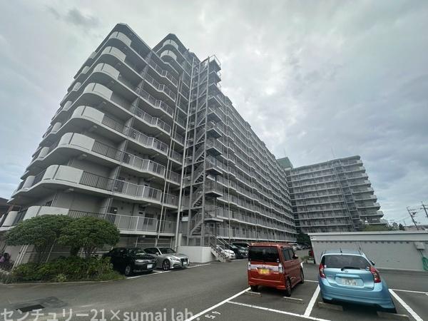 八戸ノ里スカイハイツ/中古マンション