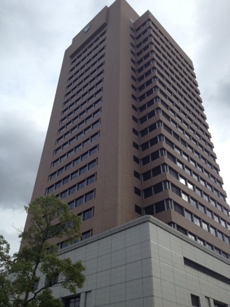 東大阪市箕輪1丁目の中古一戸建て(東大阪市役所)