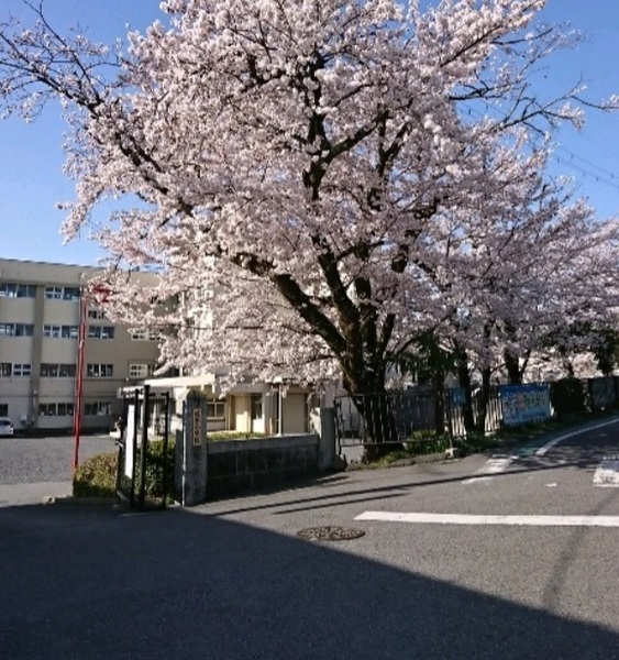 大津市坂本８丁目の土地(大津市立坂本小学校)