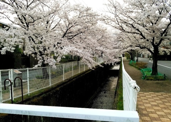 大津市坂本8丁目の土地(日吉台第10公園)