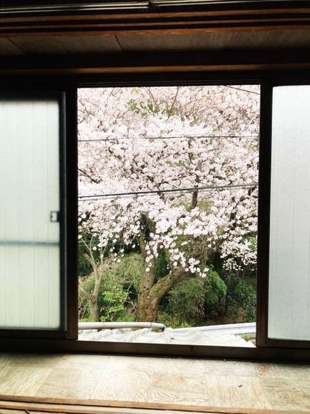 山科区小山一石畑