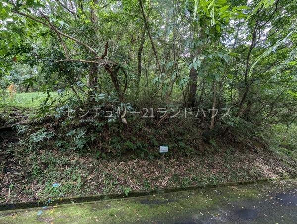 高千穂リゾートランドC街区46号
