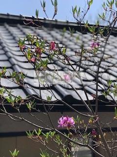 霧島市牧園町高千穂の中古一戸建て
