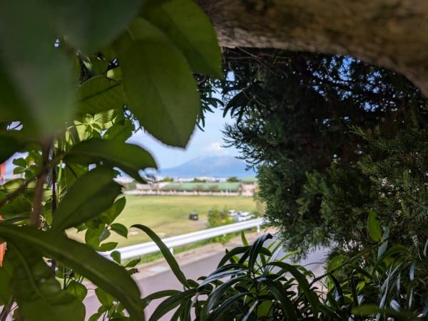 鹿児島市錦江台1丁目の中古一戸建て(その他)