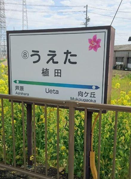 豊橋市天伯町字西天伯の土地(植田駅(豊鉄渥美線))